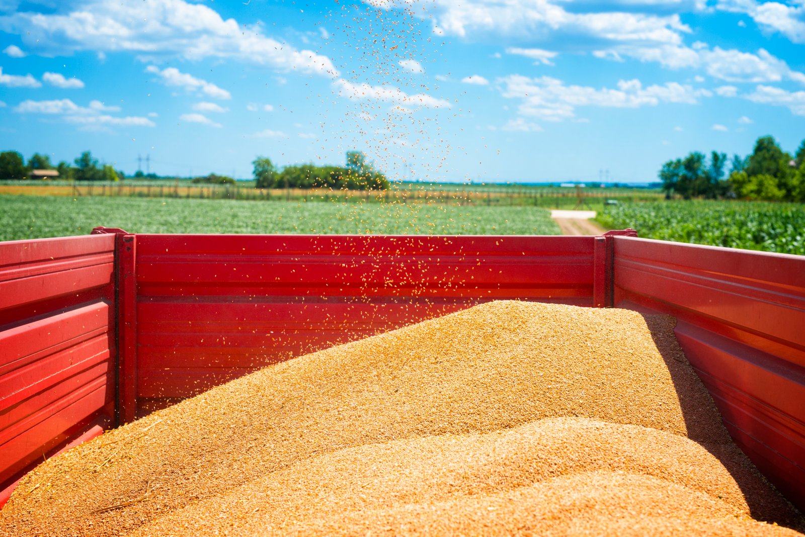 How Technology is Transforming Export Operations